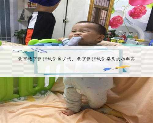 北京地下供卵试管多少钱，北京供卵试管婴儿成功率高