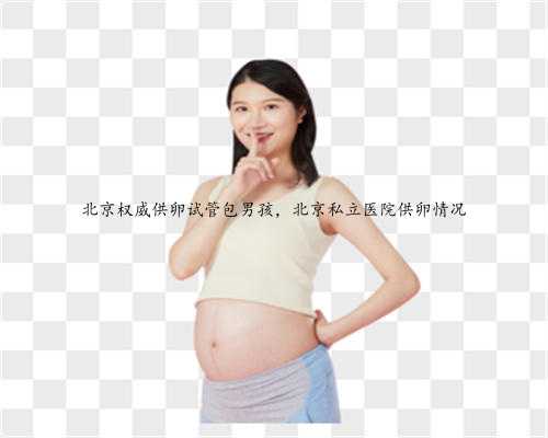 北京权威供卵试管包男孩，北京私立医院供卵情况